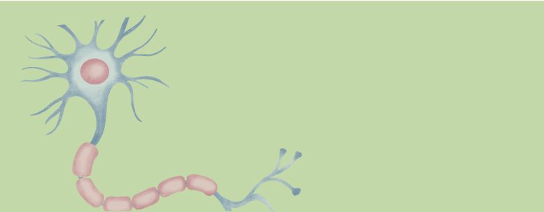 Whatis patient hero mob